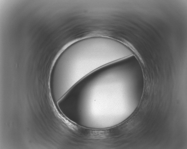X0000080111339200612080945