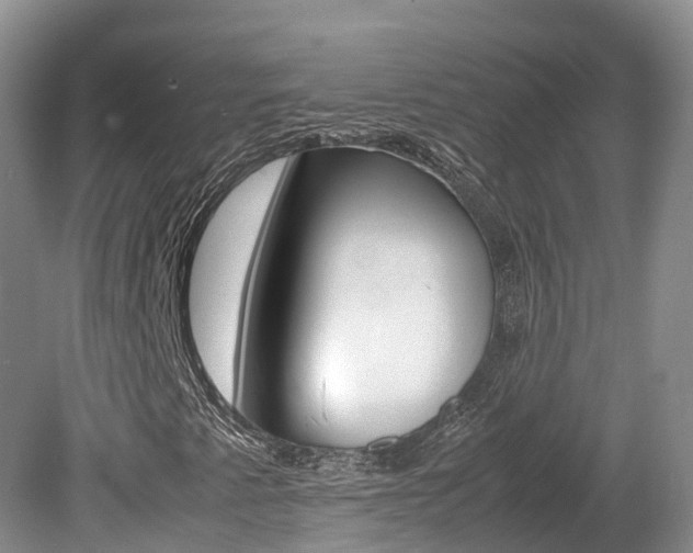 X0000080111345200612080944