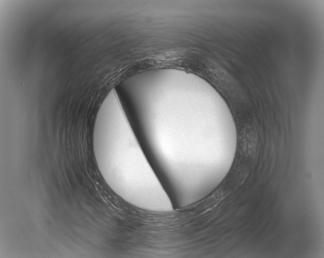 X0000080111346200612080944
