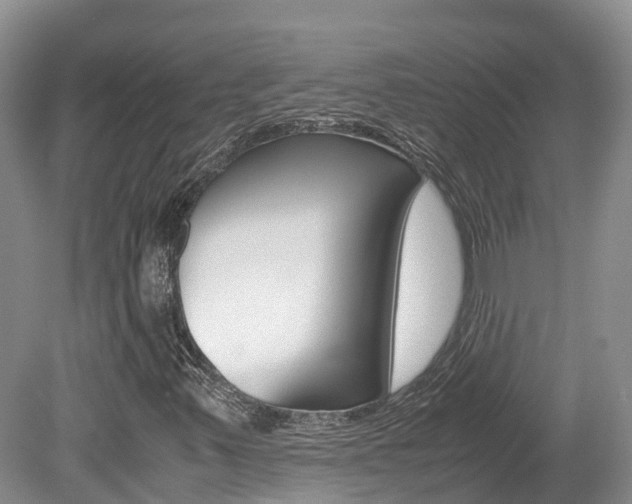 X0000080111347200612080944