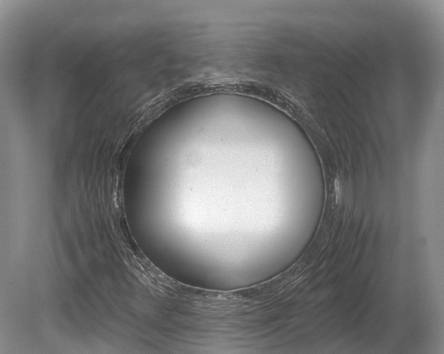 X0000080111348200612080944