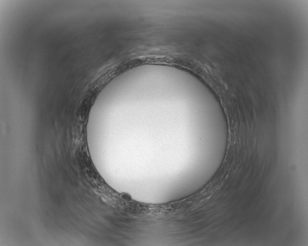 X0000080111350200612080944