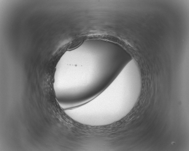 X0000080111351200612080944