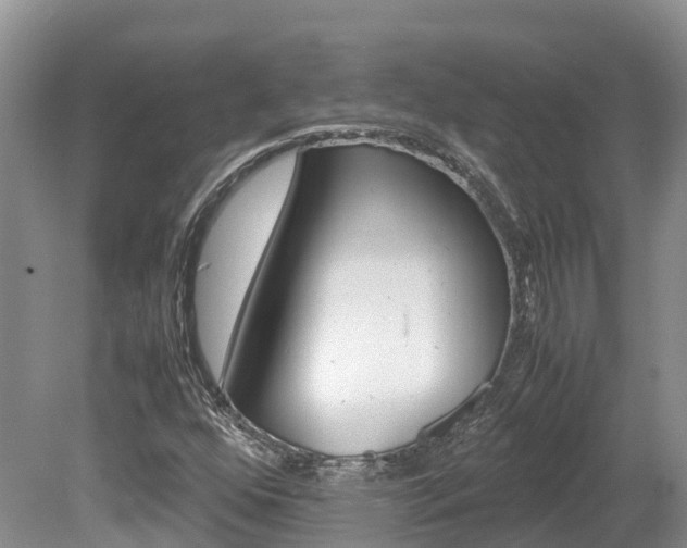 X0000080111352200612080944