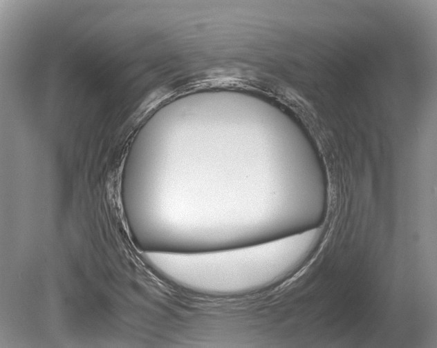 X0000080111353200612080944