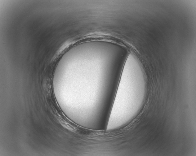 X0000080111355200612080944