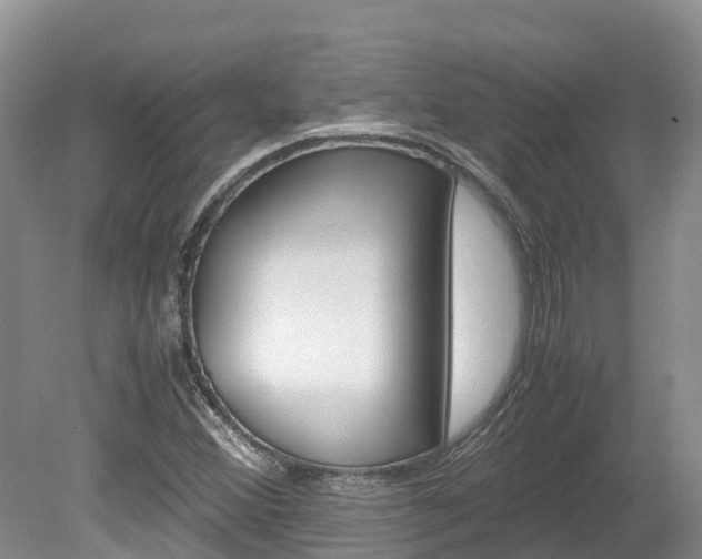 X0000080111356200612080944