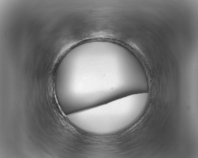 X0000080111358200612080944