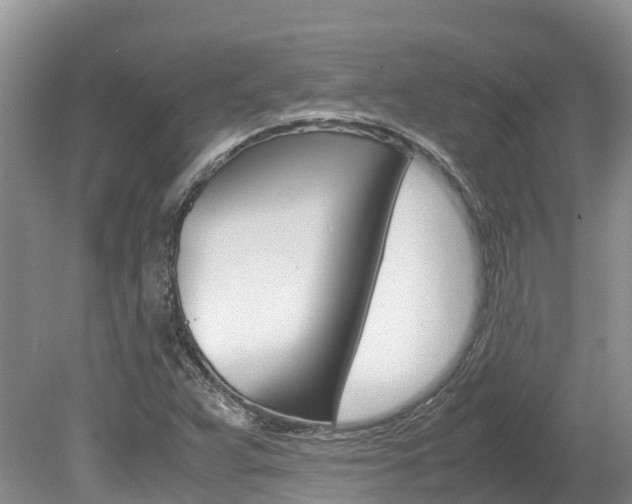 X0000080111359200612080944
