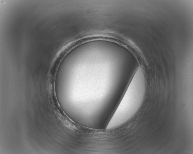 X0000080111360200612080944