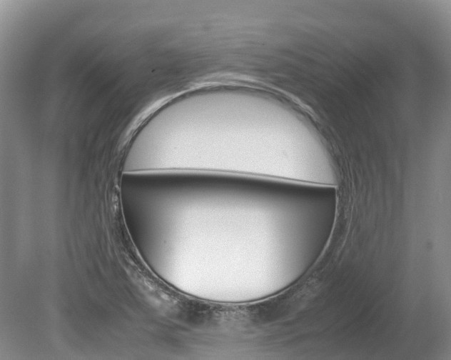 X0000080111363200612080944