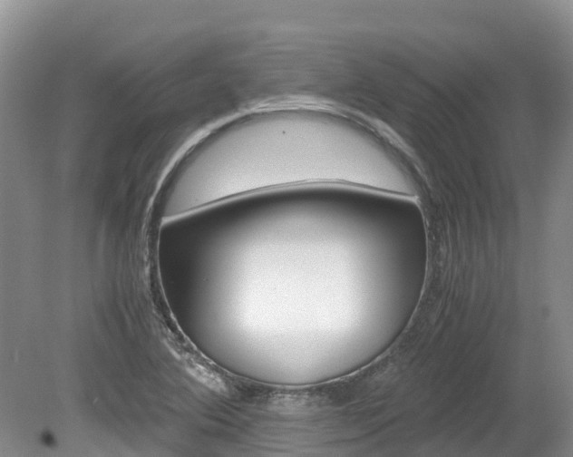X0000080111364200612080944