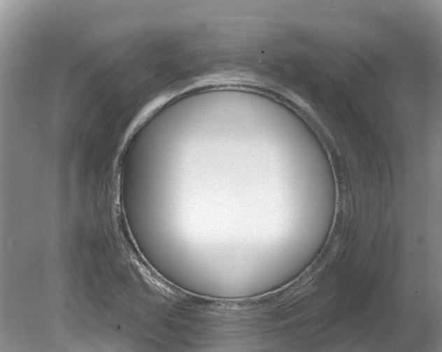 X0000080111366200612080944