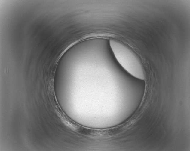 X0000080111369200612080944