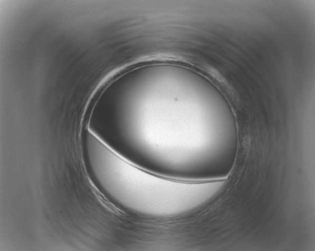 X0000080111372200612080944