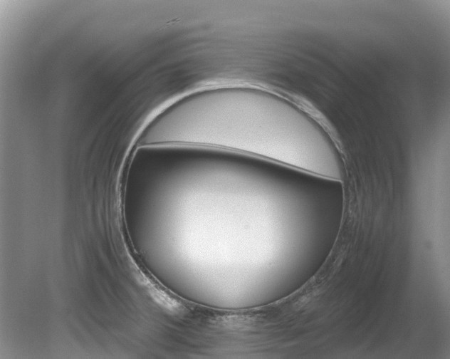X0000080111380200612080944