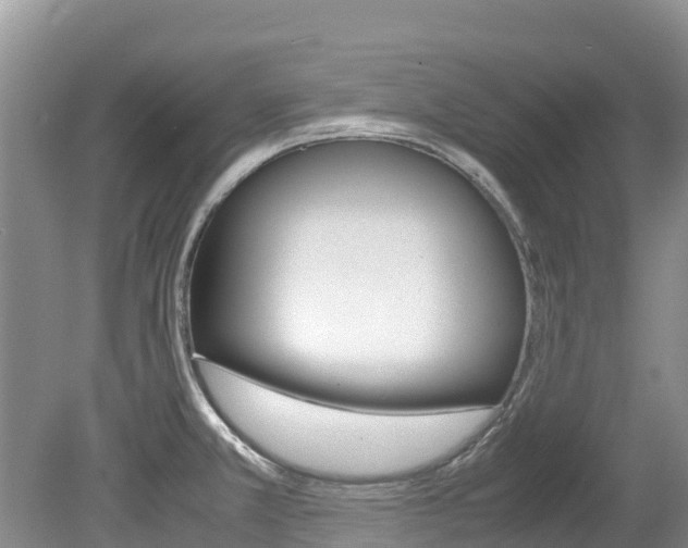 X0000080111381200612080944