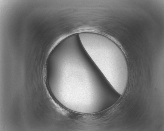 X0000080111383200612080944
