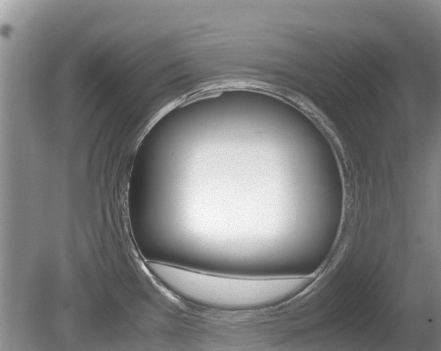 X0000080111385200612080944