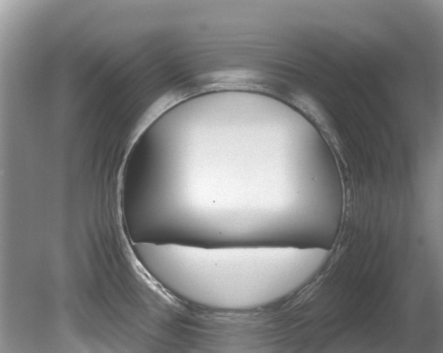 X0000080111386200612080944