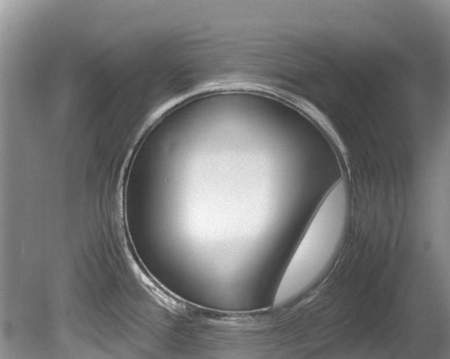 X0000080111388200612080944