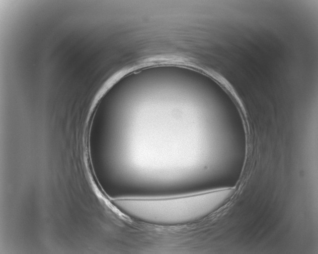 X0000080111389200612080944