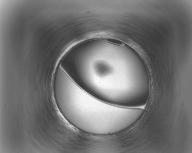X0000080111392200612080944