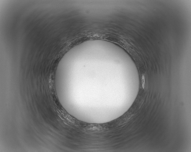 X0000080111395200612080943