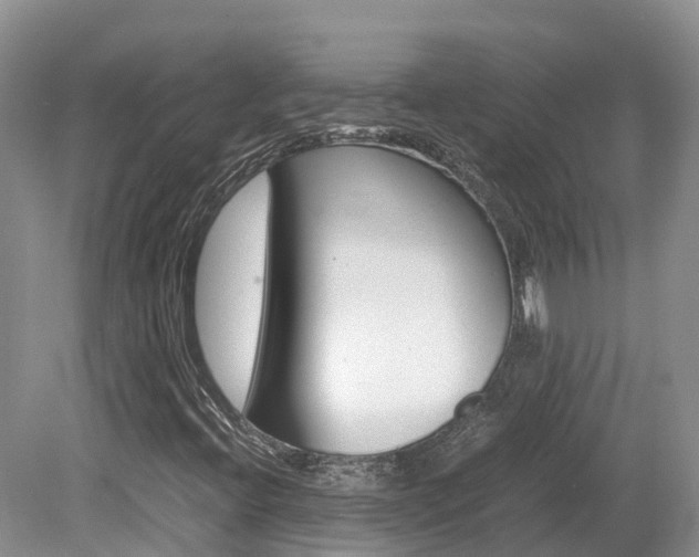 X0000080111396200612080943