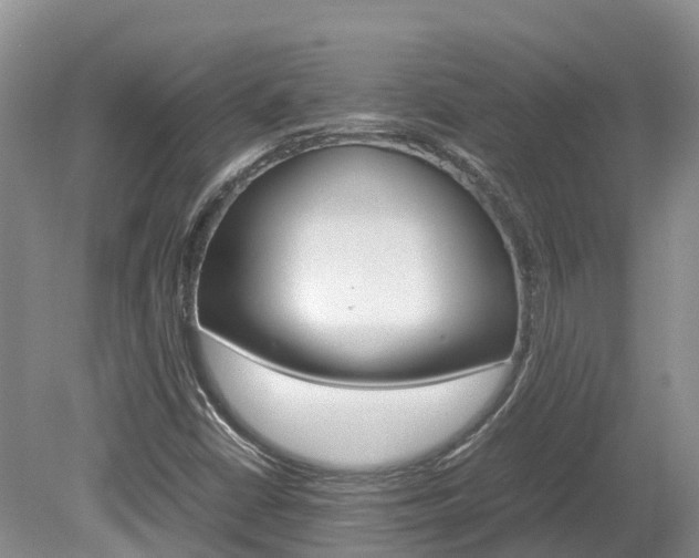 X0000080111402200612080943