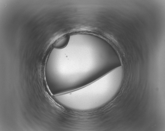 X0000080111404200612080943