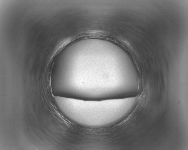 X0000080111405200612080943