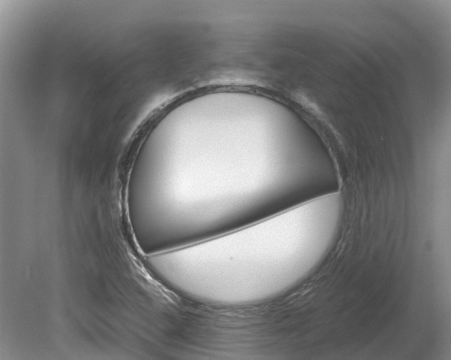 X0000080111408200612080943