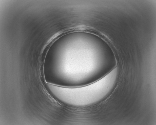 X0000080111410200612080943
