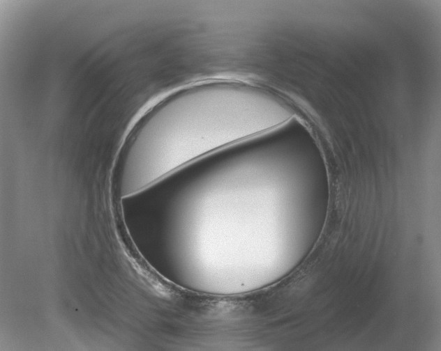 X0000080111412200612080943