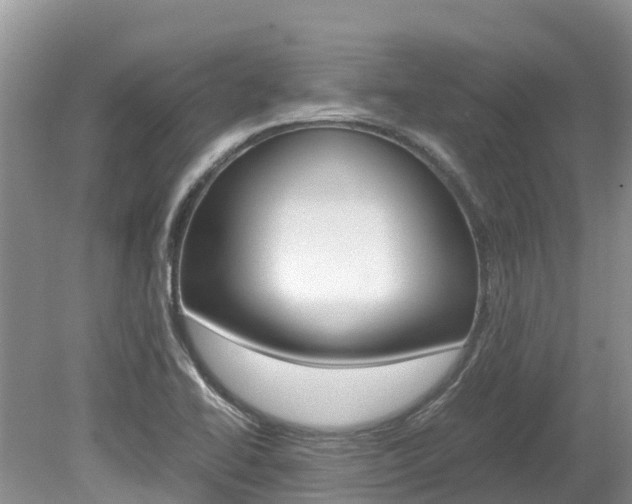 X0000080111414200612080943