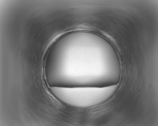 X0000080111415200612080943