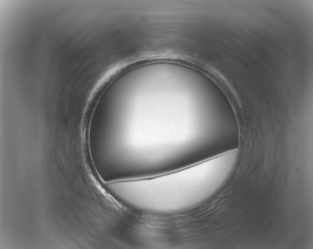 X0000080111416200612080943