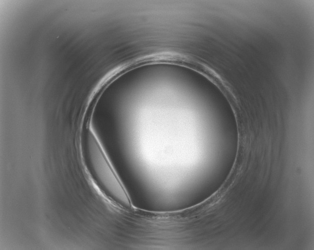 X0000080111418200612080943