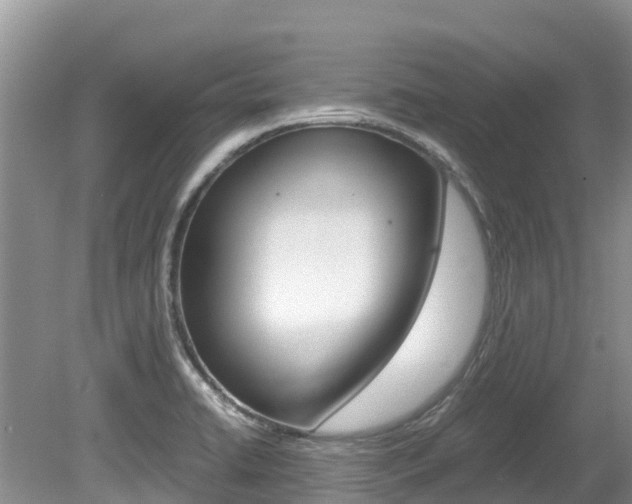 X0000080111422200612080943