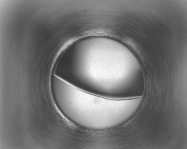 X0000080111424200612080943