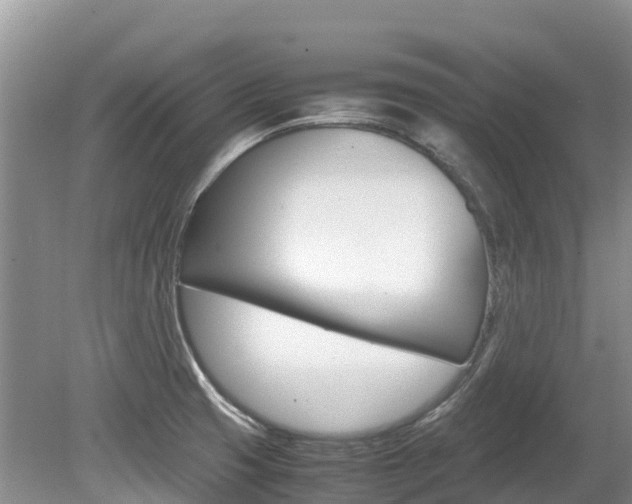 X0000080111425200612080943