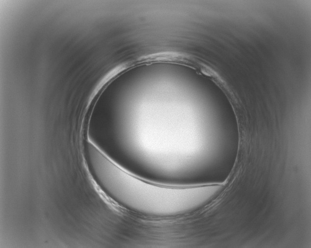X0000080111426200612080943