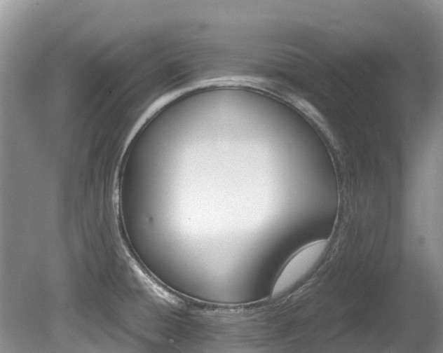 X0000080111428200612080943