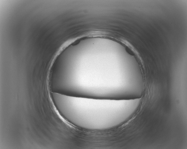 X0000080111429200612080944