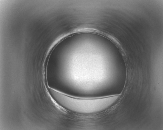 X0000080111430200612080944