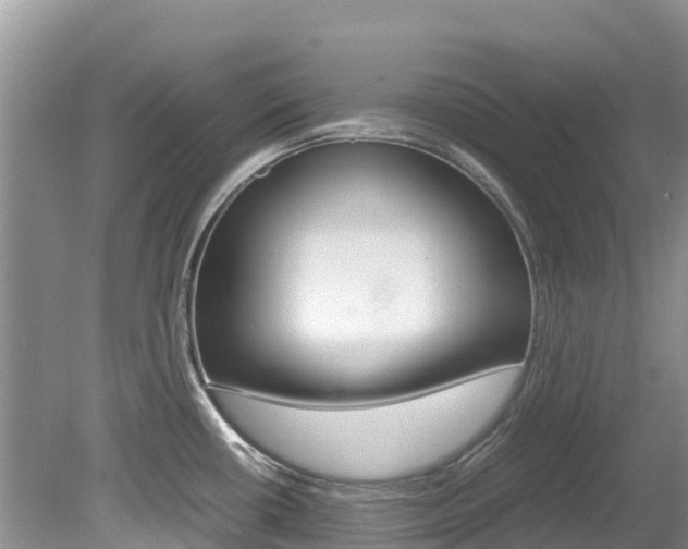 X0000080111434200612080944