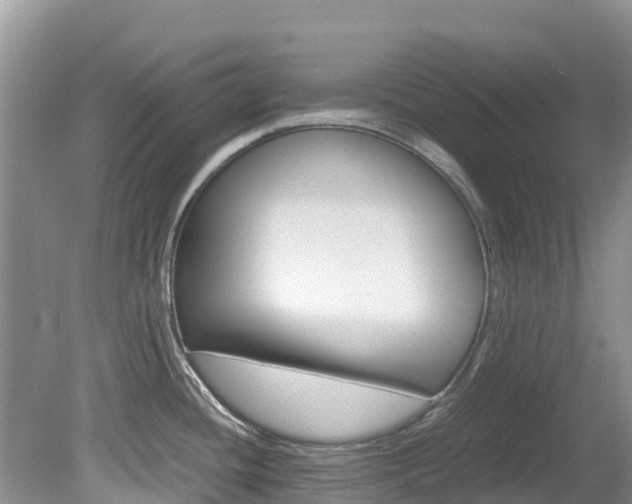X0000080111436200612080944