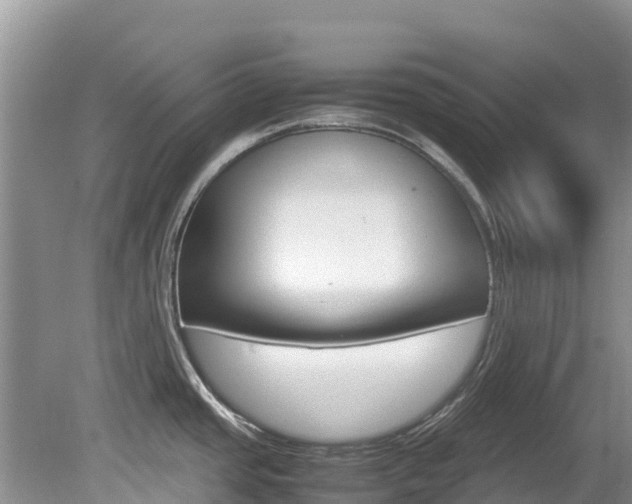 X0000080111437200612080944