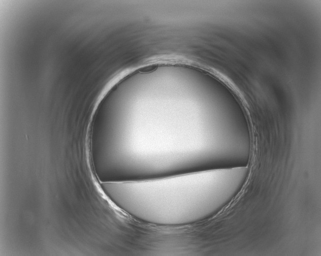 X0000080111440200612080944